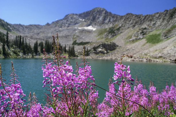 Utah adventures with Maverik: 6 Utah ski resorts perfect for summertime fun