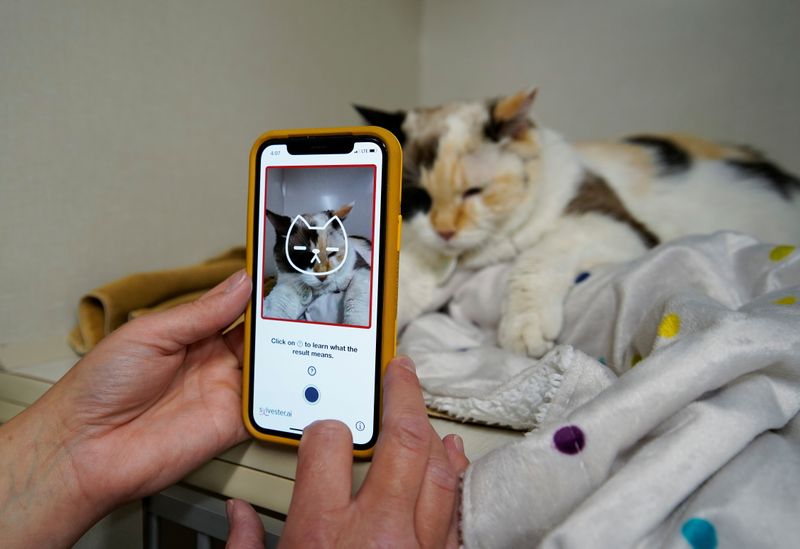 Dr. Liz Ruelle uses a new app called Tably that reads cat's faces and helps her monitor a cat's health at the Wild Rose Cat clinic in Calgary, Alberta, Canada, July 14, 2021.  Photo taken July 14, 2021.