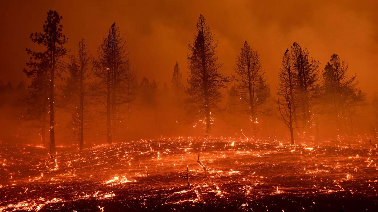 Embers blow across a field as the Sugar Fire, part of the Beckwourth Complex Fire, burns in Doyle, California, on Friday, July 9. Record heat is causing problems across the western U.S.