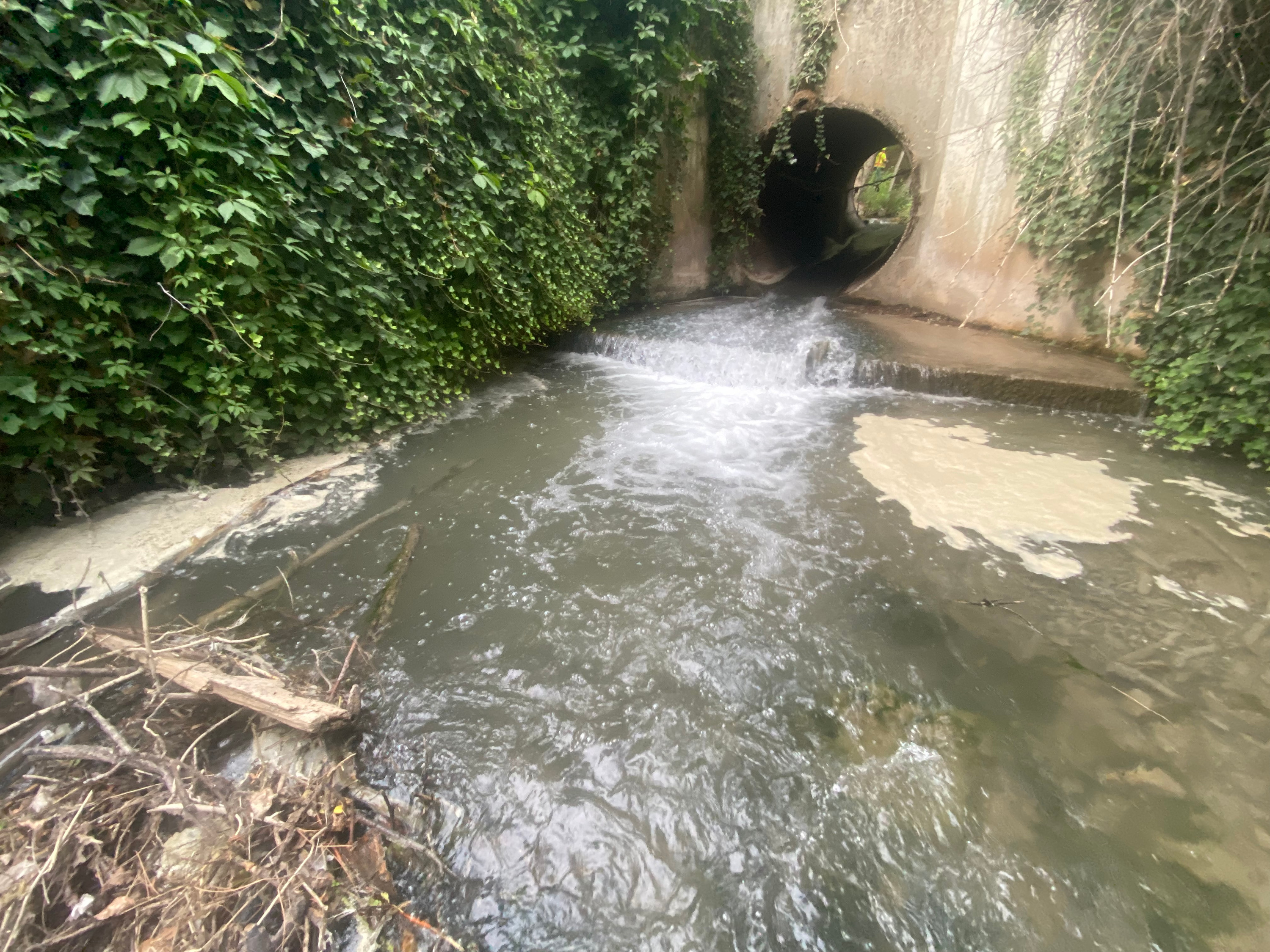 Mill Creek is pictured on Thursday, July 29, 2021. According to state officials, some concrete was spilled into Mill Creek near 3800 South and Upland Drive this week during an I-215 reconstruction project. Biologists have confirmed that the increased PH levels in the water from the spill have caused a pretty significant fish kill.