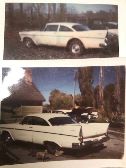 Maxine in her younger, car-like days.