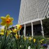 Welcome refugees, avoid politics at church, Latter-day Saint handbook update says