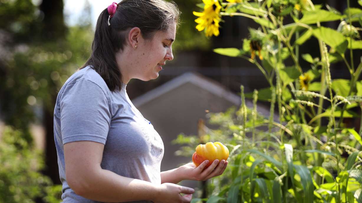 Gardener Bailey Roberts admires one of her tomatoes from her plot in a new community garden at Richmond Park in Salt Lake City on Wednesday.