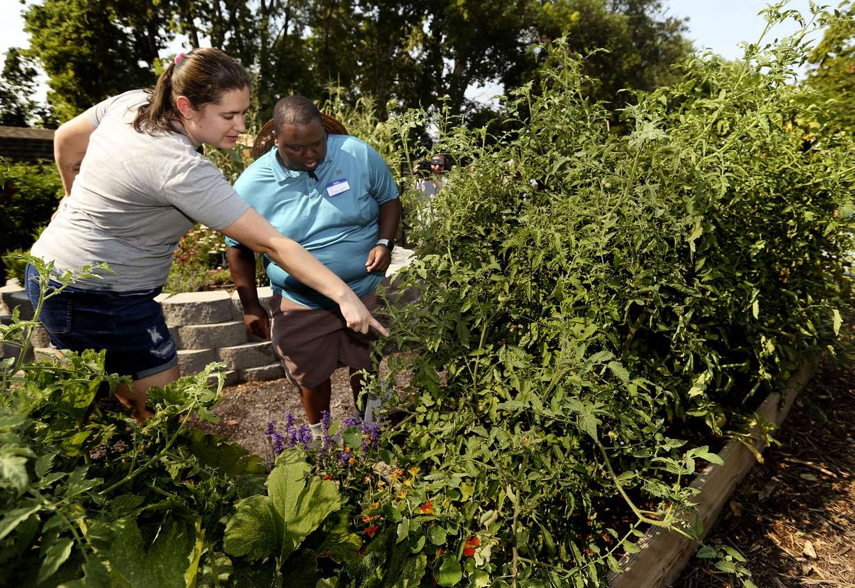 Bailey Roberts shows Sean Whaley tomatoes in her plot in a new community garden at Richmond Park in Salt Lake City on Wednesday. Both Roberts and Whaley have plots in the garden.