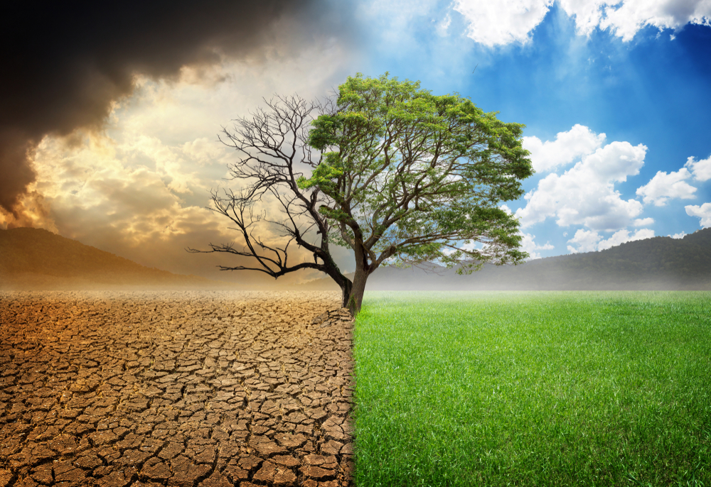 How reducing water usage without a plan can have disastrous unintended consequences