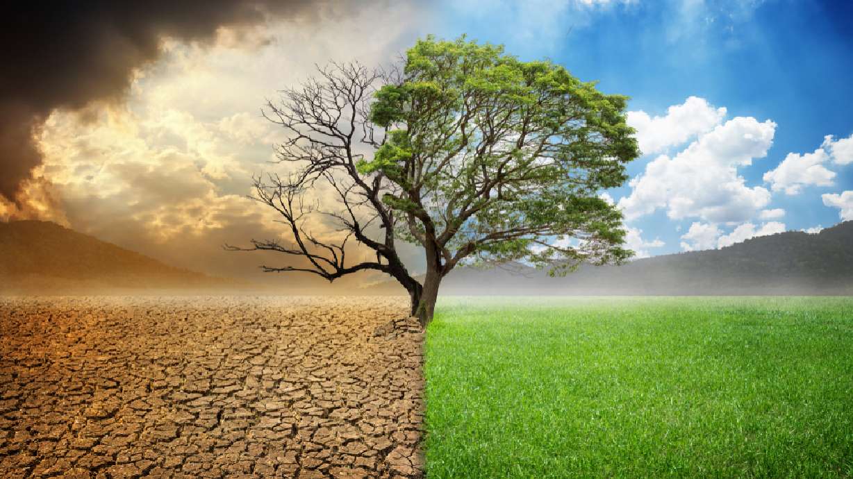 How reducing water usage without a plan can have disastrous unintended consequences