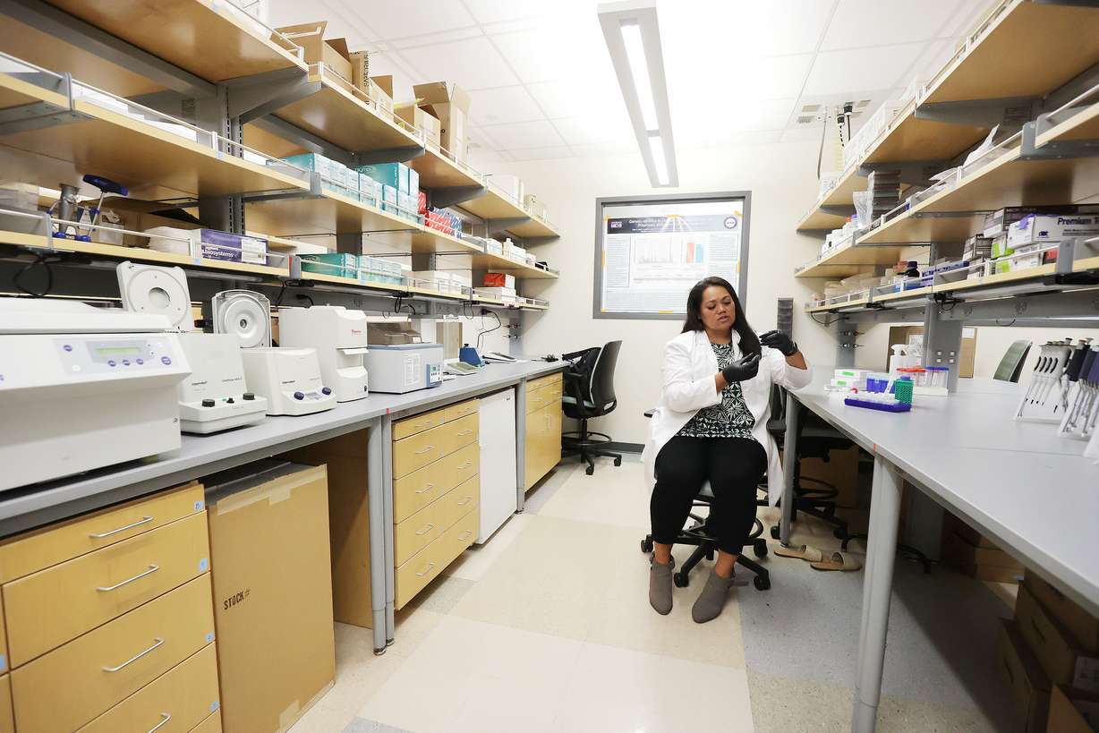 Graduate student Justina Tavana extracts DNA from a saliva sample in a lab at BYU in Provo on Tuesday. BYU researchers are investigating elevated rates of Alzheimer's disease in Pacific Islander and Native American communities.