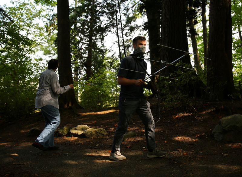 Asian giant hornet trapper Andrew Bigelow uses an advanced telemetry system unit to locate a radio tag hidden by an instructor, during an Asian giant hornet field training day held by the Washington State Department of Agriculture Pest Program, at Birch Bay State Park near Blaine, Washington, on Wednesday.