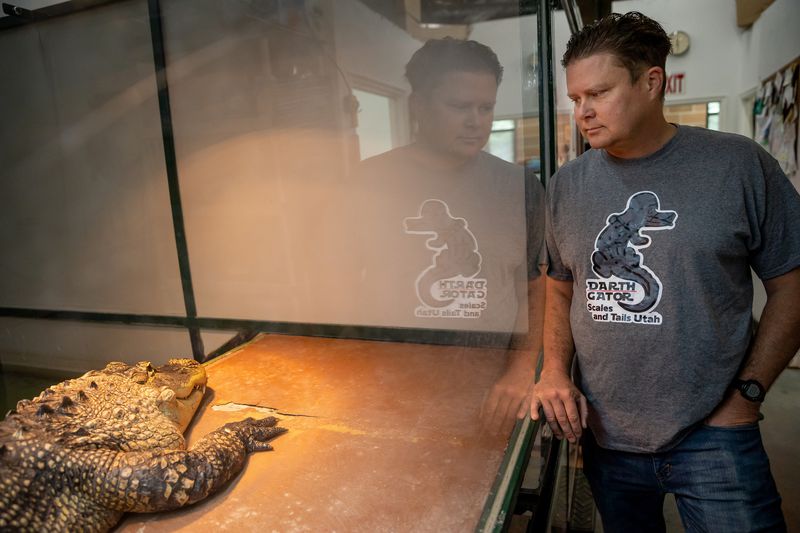 Shane Richins, owner of Scales and Tails Utah, poses
for a photo beside Darth Gator, an 11-year-old 8.5-foot alligator,
at the business in West Valley City on Thursday.