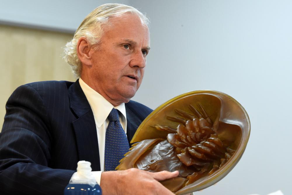 South Carolina Gov. Henry McMaster holds a model of a horseshoe crab, whose blood is a vital component in the contamination testing of injectable medicines — including the coronavirus vaccines — at Charles River Labs on Friday, Aug. 6, 2021, in Charleston, S.C.