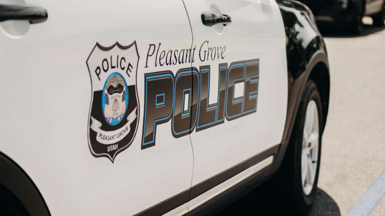 Residents in Cedar Hills, American Fork and Pleasant Grove have been warned to be cautious after reports that a dog was attacked in a yard by a mountain lion Tuesday.