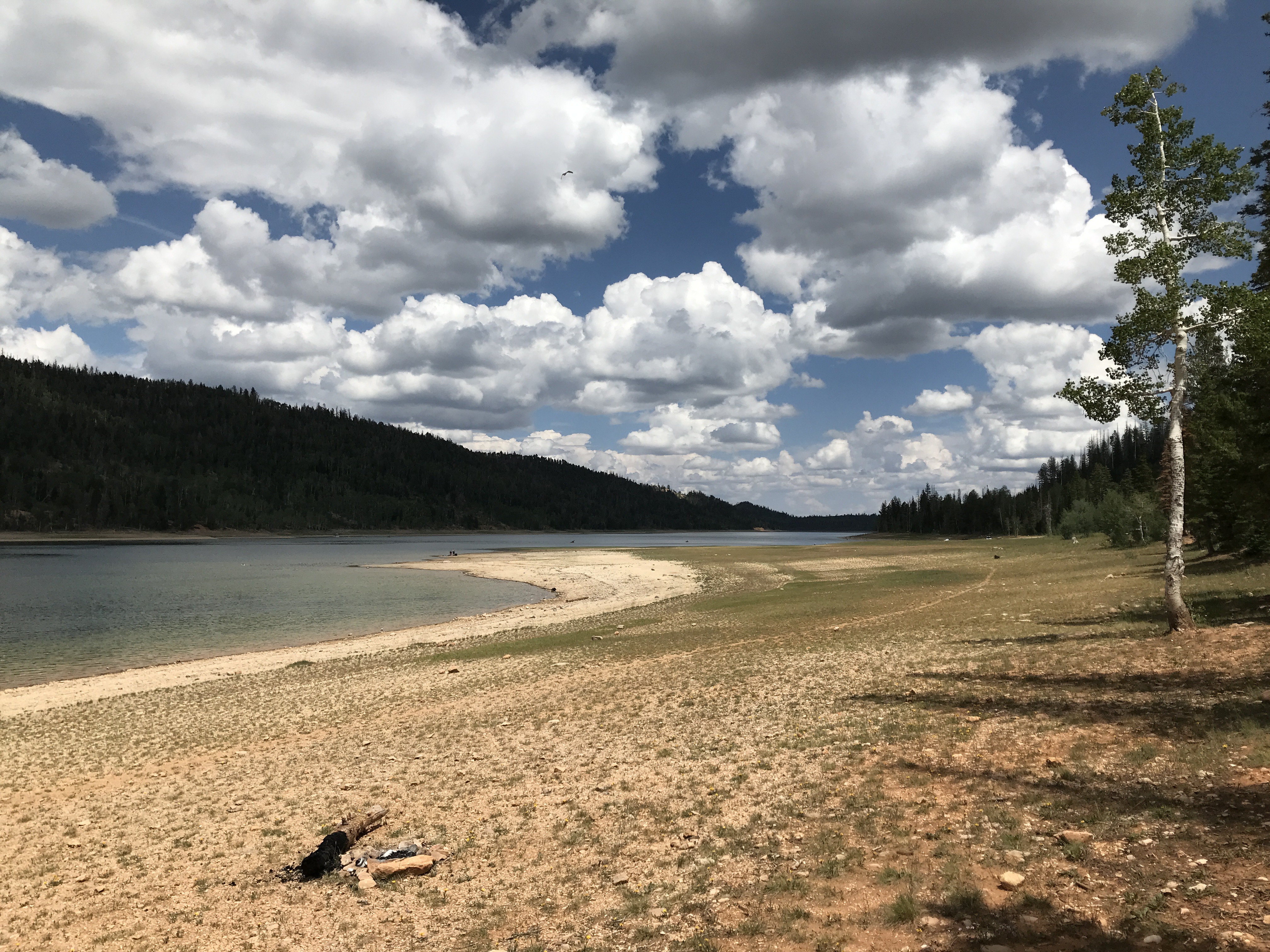 An undated photo of Navajo Lake in Kane County. State wildlife biologists say they want to treat the lake with a substance that will kill off fish and then "reset" it a trout fishery.