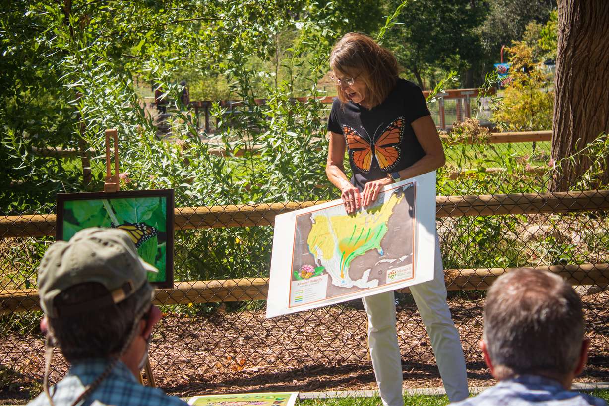 Rachel Taylor, a research associate for the Southwest Monarch Study, holds a map of monarch butterfly migration patterns in North America. Western populations have declined by 99.9% since the 1980s, according to official counts.
