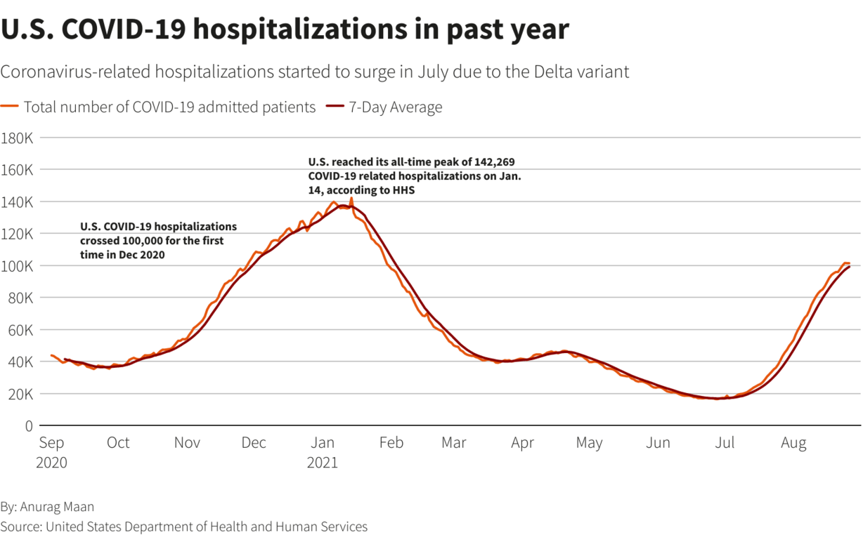 U.S. COVID-19 hospitalizations in past year