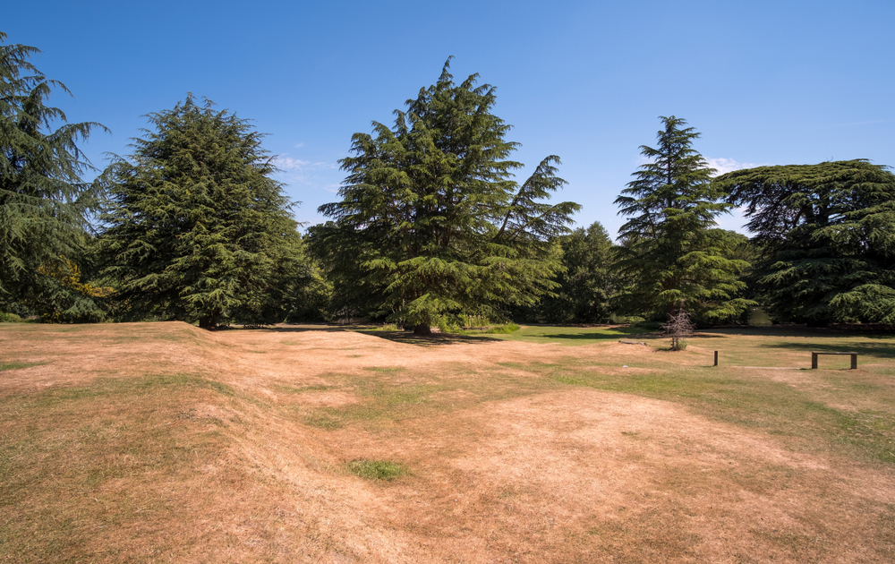 3 ingredients to ending a drought: soil moisture, snowpack, and runoff