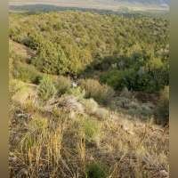 Woman, baby saved by seat belts in rollover down 200-foot embankment in southern Utah