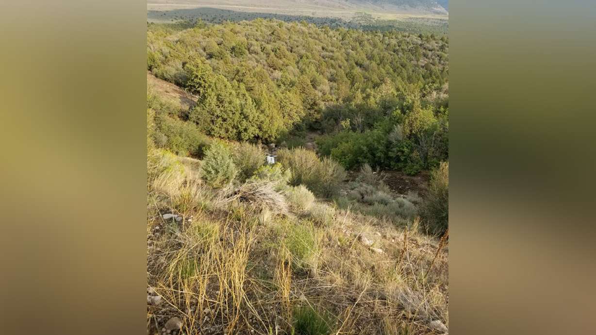 View from the roadway shows how far down the embankment a Jeep Cherokee (seen as a small white patch in photo) rolled off S.R. 20, Iron County Wednesday.