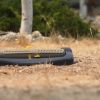 Yellow doesn't mean dead: City warns of fines for not watering