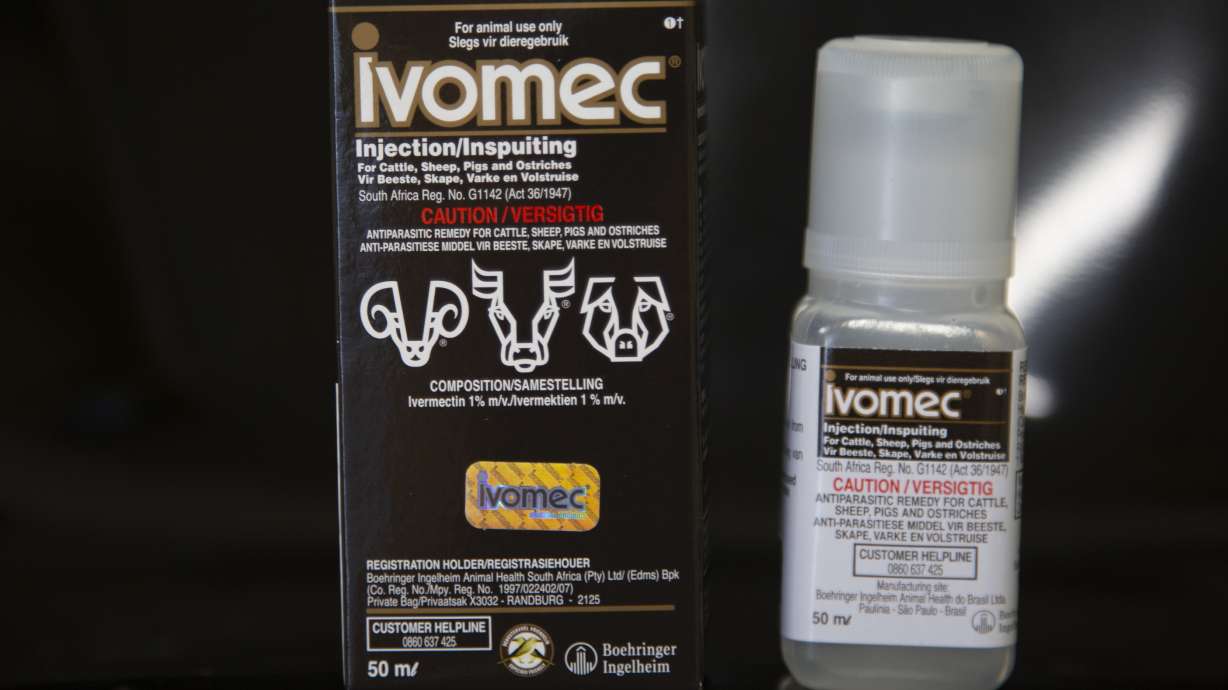 Ivermectin is approved by the U.S. Food and Drug Administration to treat infections of roundworms and other tiny parasites in humans and some large animals. Health experts and medical groups are pushing to stamp out the growing use of the decades-old parasite drug to treat COVID-19, despite warnings that it can cause harmful side effects and there’s little evidence it helps.