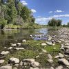 Prized trout streams shrink as heat, drought grip West