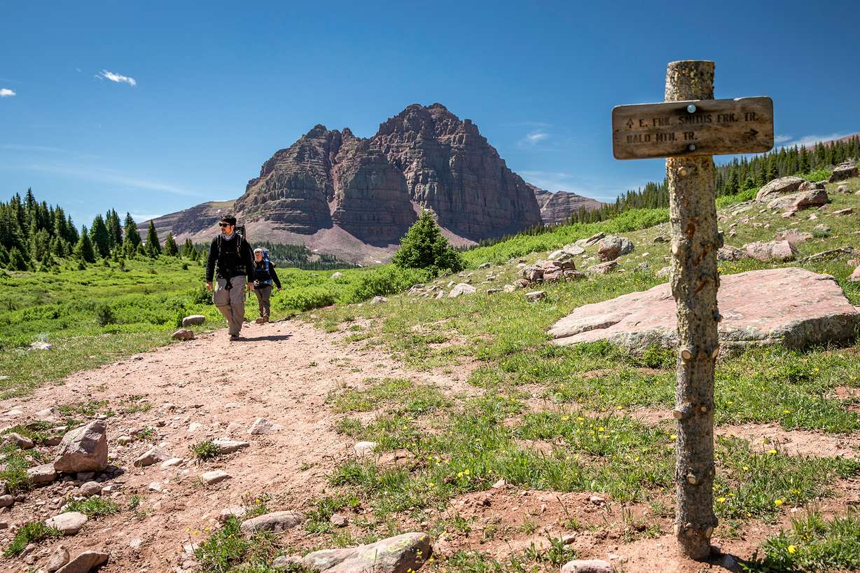 How to visit Utah's most-visited national forest