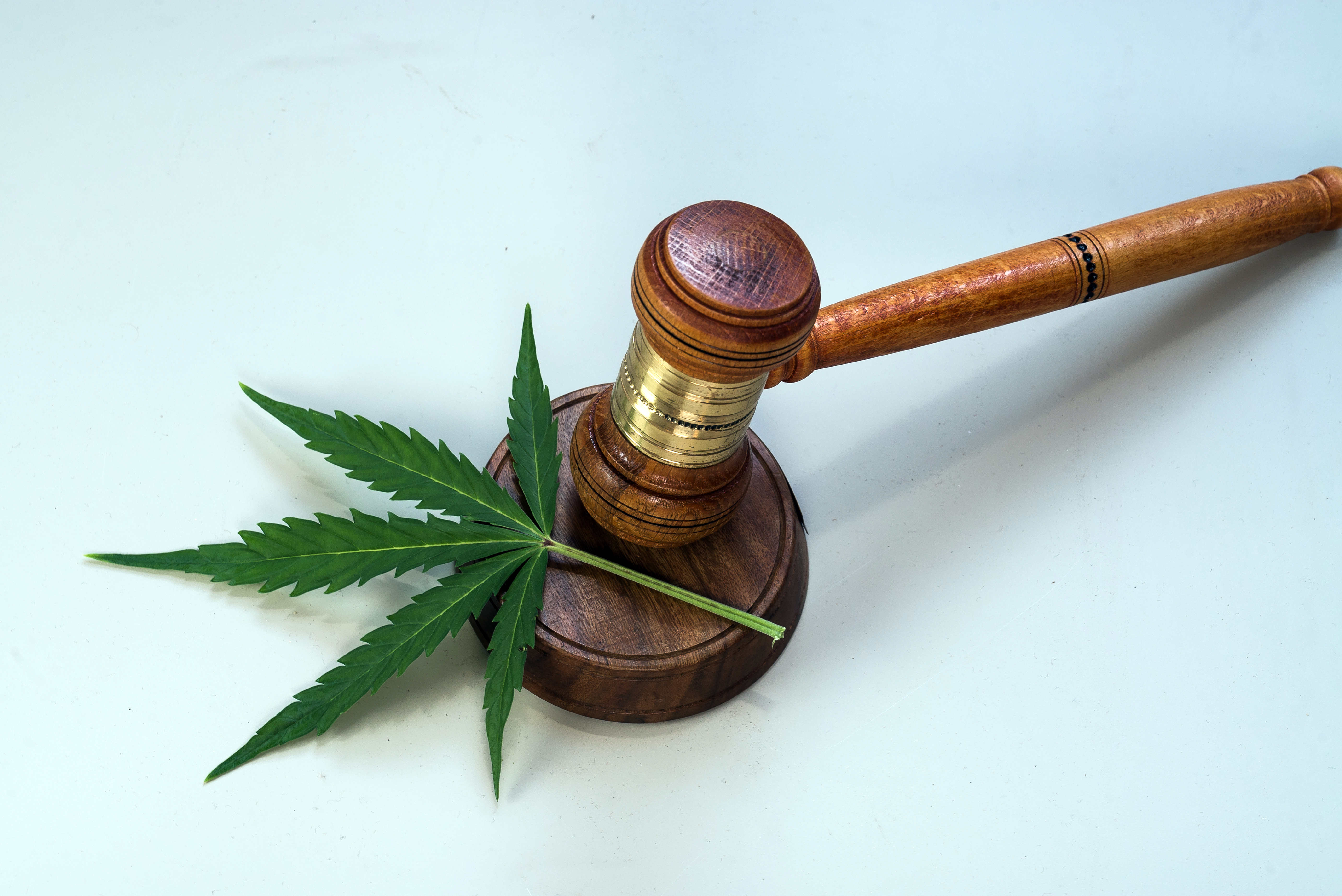 Two men, from California and Oregon, were recently indicted in federal court for allegedly having 270 pounds of marijuana in their vehicle when they were arrested in Utah.