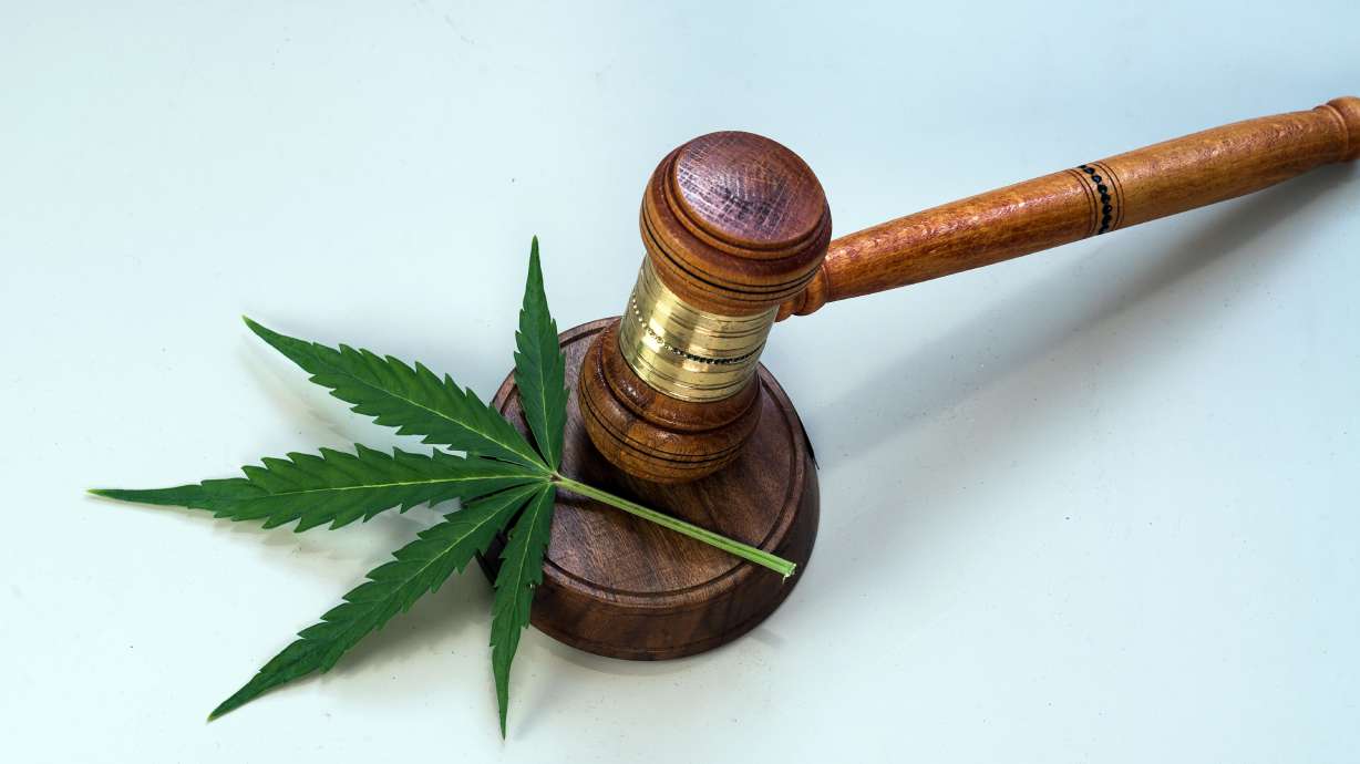 A man who owned and operated several warehouses in Salt Lake City is now facing drug charges following raids of the warehouses and his home.