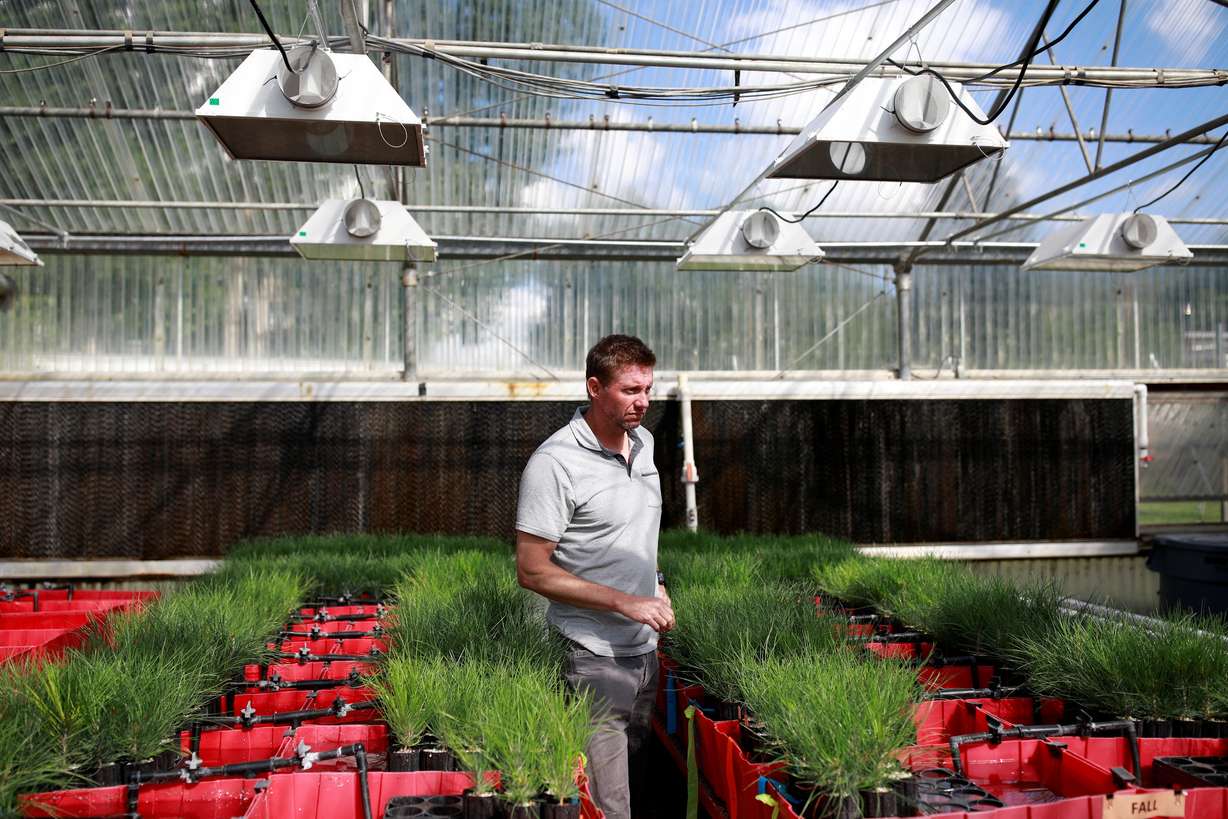 Dr. Owen Burney gives a tour of the facilities at John T. Harrington Forestry Research Center in Mora, New Mexico on July 26.