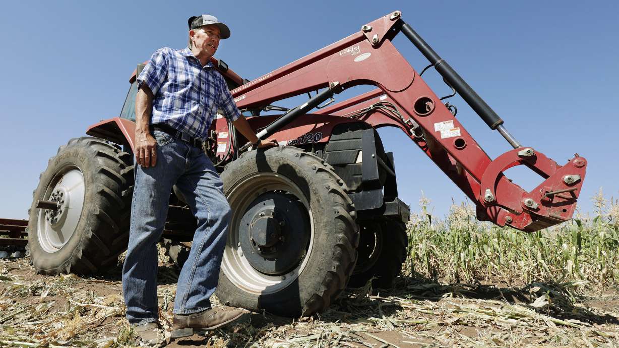 Tyson Roberts, of Roberts Family Farms, talks about how the drought is affecting his farm in Layton on July 16. A new loan program announced Thursday will provide help for Utah farmers and ranchers who suffered losses from drought conditions this year.