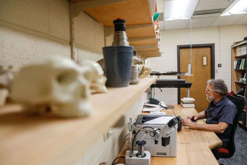 David Carrier, a professor of biology and co-author of
a study a study that explores how beards serve an evolutionary
purpose of protecting the jaw during fistfights, works in his
office at the University of Utah in Salt Lake City on Friday.