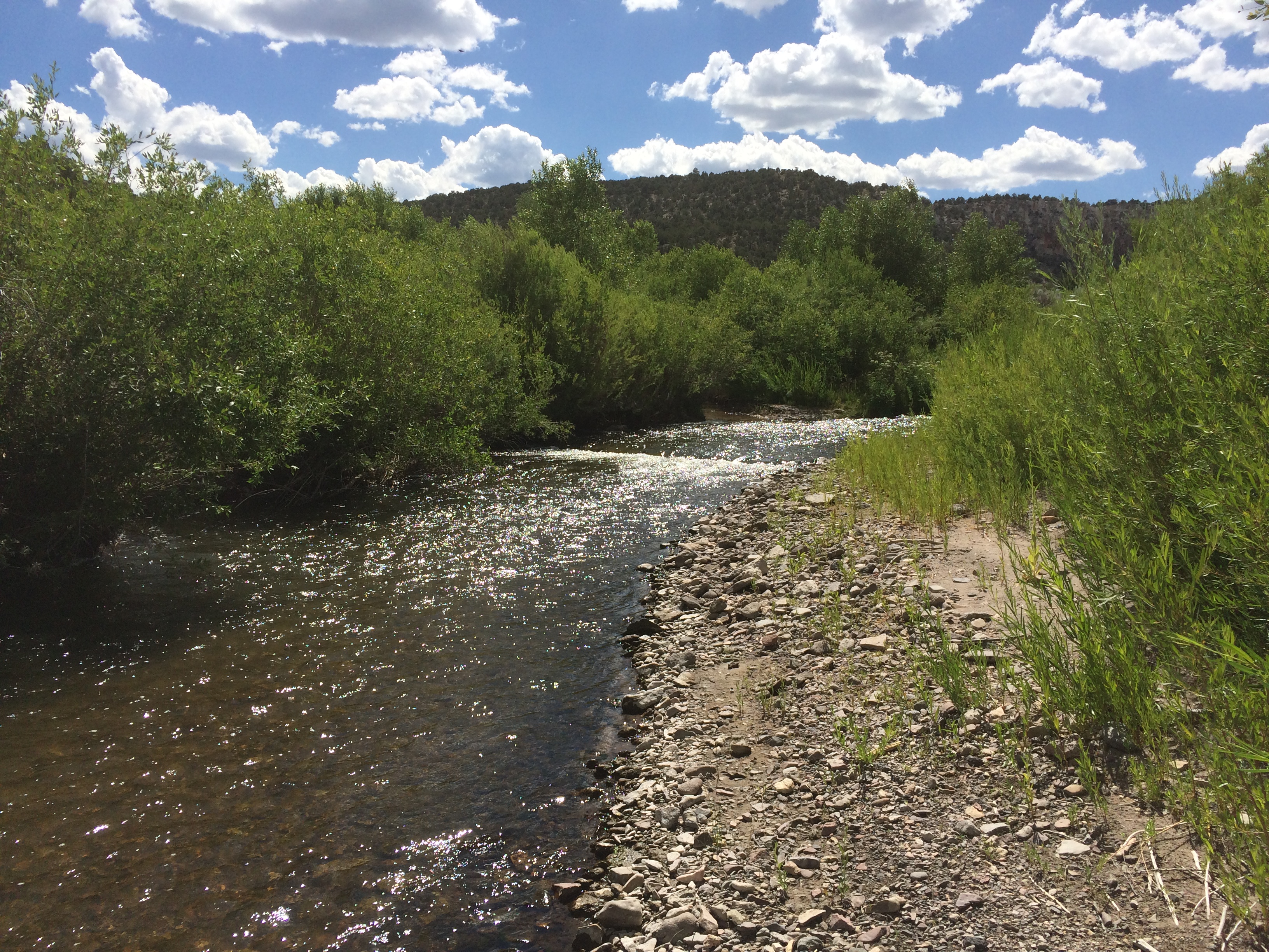 An undated image of Clear Creek in Sevier County. State wildlife biologists plan to use a substance to kill off nonnative fish in a part of the creek so it can be restocked with native fish.
