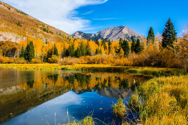 Utah Adventures with Maverik: 5 of the best places in Utah to take a kid fishing