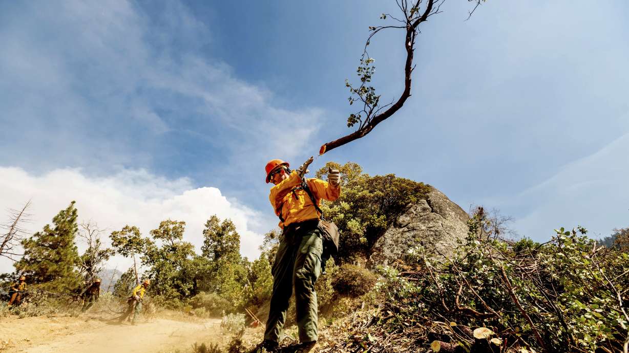 A member of the Roosevelt Hotshot Crew clears a firebreak while battling the Windy Fire on Thursday, on the Tule River Reservation, Calif. His crew, which traveled from Colorado, has been battling California wildfires.