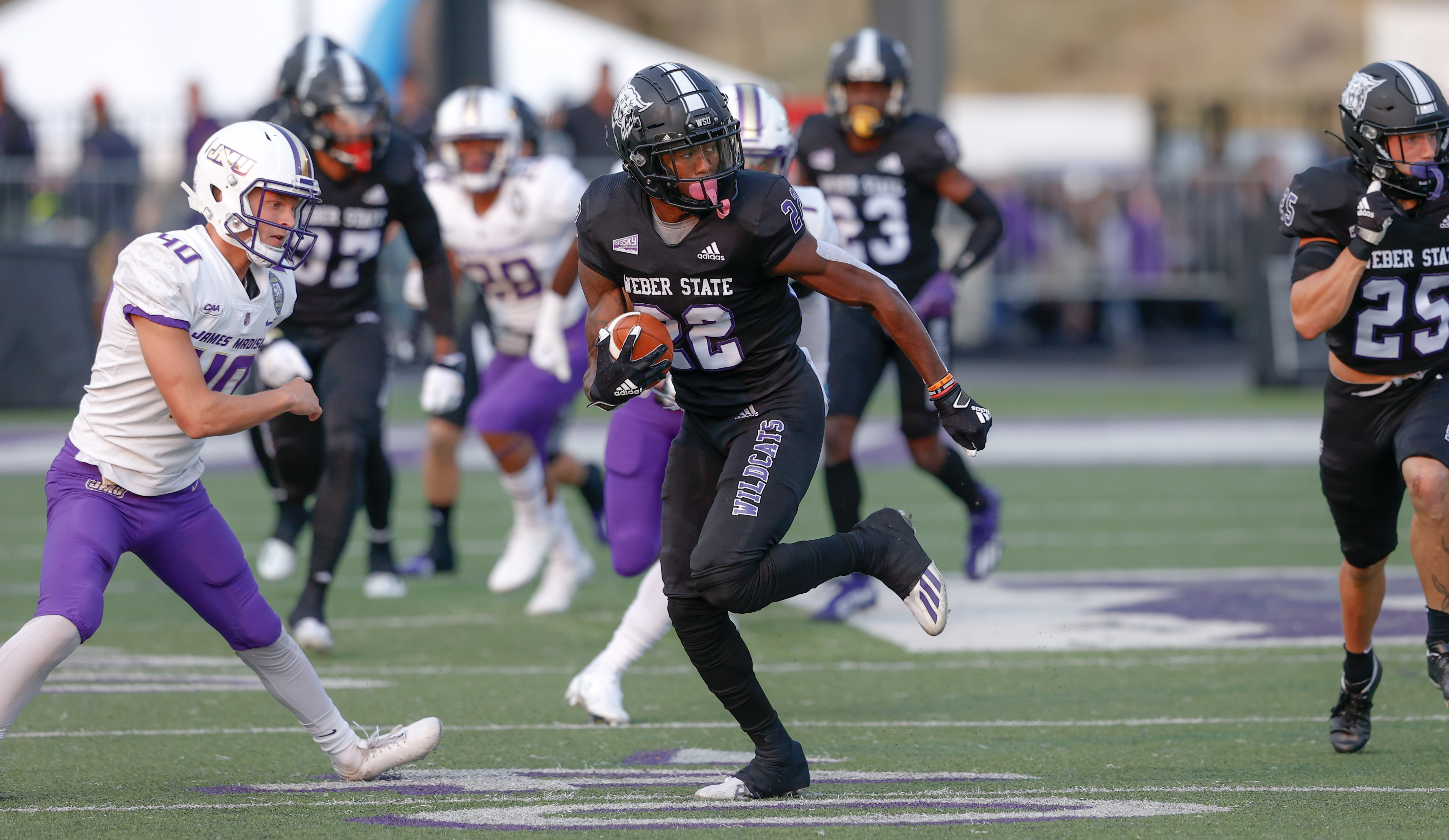 Wildcats looking to get back in the win column against Cal Poly