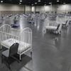 Report: Births decline in pandemic may have turned corner
