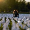 'Heart-wrenching, soul-crushing': US COVID-19 deaths are topping 1,900 a day