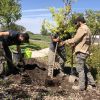 Volunteer arborist group plants new trees at Utah Veterans Cemetery