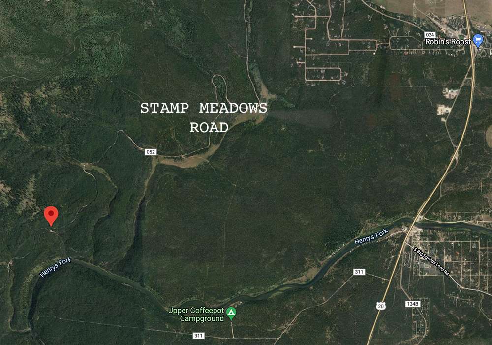 Hunters shoot grizzly bear after being charged in Idaho