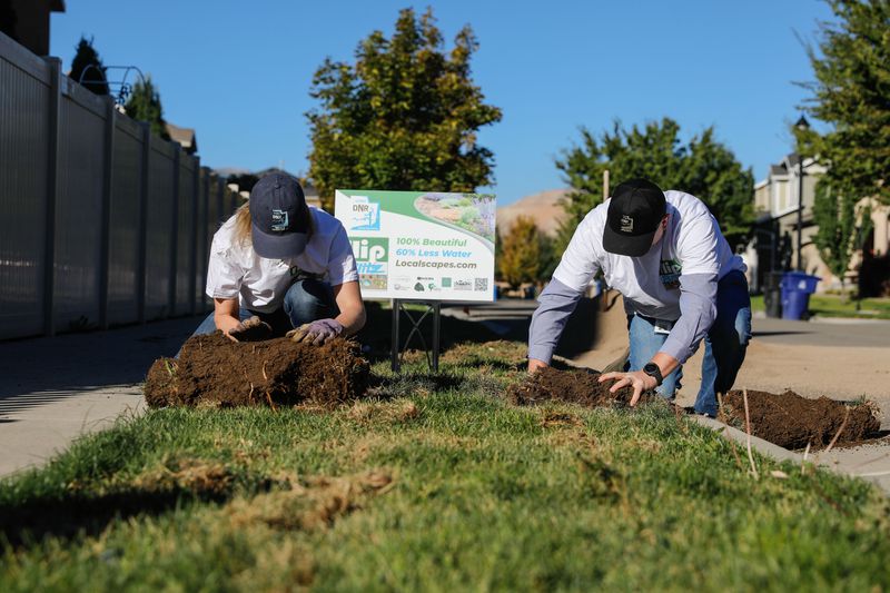 Candice Hasenyager, director of the Utah Division of
Water Resources, left, and Brian Steed, executive director of the
Department of Natural Resources, remove sod from a parking strip in
Herriman on Tuesday, during the launch of "Flip
Blitz,” a landscape diversification and water conservation program.
The program, which changes out grassy park strips with water-wise
plants, intends to save between 5,000 and 8,000 gallons of water at
each of the park strips annually.