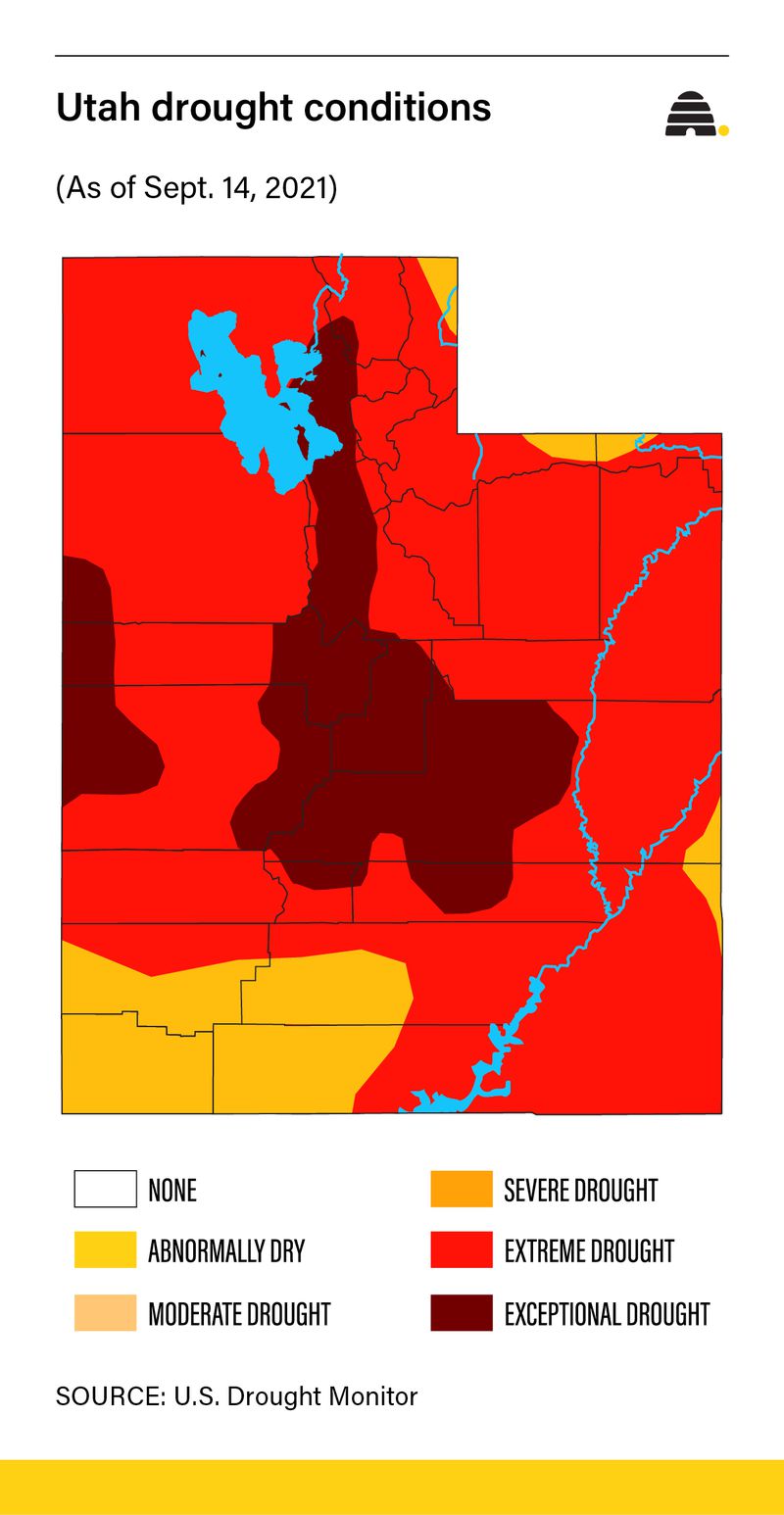 As the dry, dry water year ends, did you pass the conservation test?