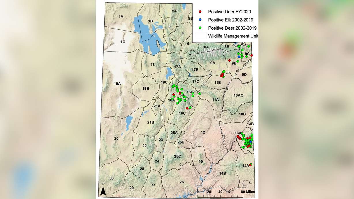 This map shows the location of confirmed chronic wasting disease cases in Utah from 2002 through the 2020 fiscal year. More than a 100 deer have been found to have the disease over that time.