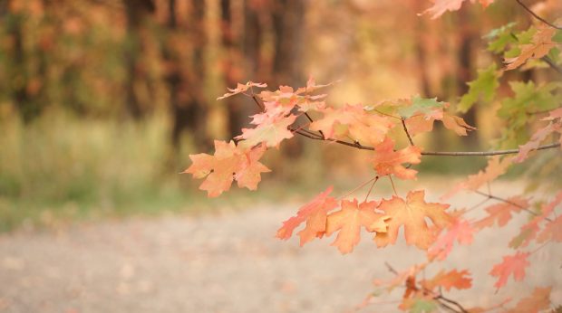 Fall is a great time to go on a hike in Utah.