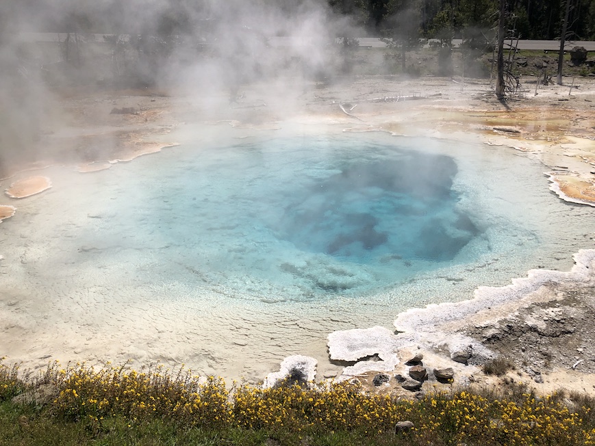 A Washington woman was severely burned while trying to save her dog from a thermal hot spring in Yellowstone National Park.