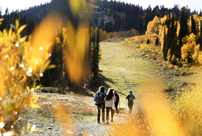 Hikers hike at Solitude Mountain Resort in Big
Cottonwood Canyon on Oct. 1.