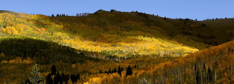 Fall colors are photographed in Big Cottonwood Canyon
on Friday, Oct. 1, 2021.