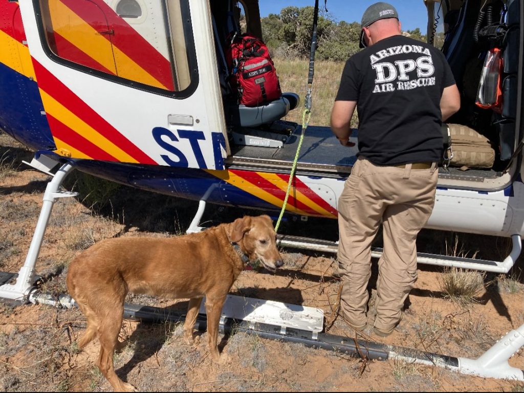 After her plane crashed outside of Page, Arizona, a woman was rescued after she was trapped for four hours, waiting for rescuers — all while sitting next to her husband, the pilot, who did not make it out alive. Inside the plane was the couple’s two dogs — Hudson, the golden retriever, and little Kota.