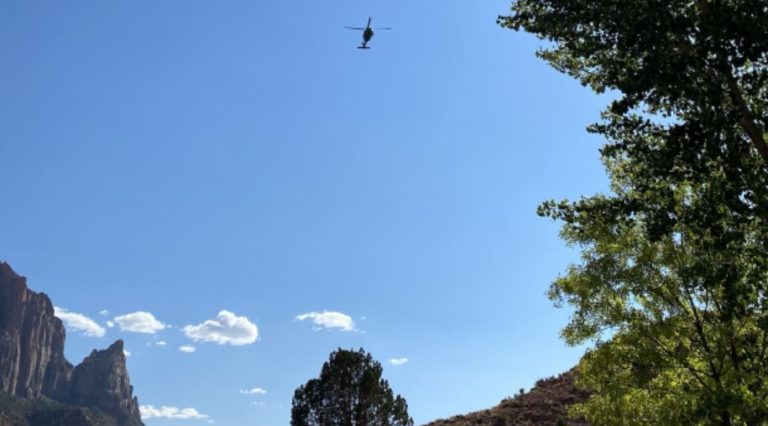 A record year for search and rescue in Zion National Park