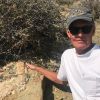 How forces of nature, luck led to discovery of 163M-year-old 'fish-lizard' in Utah