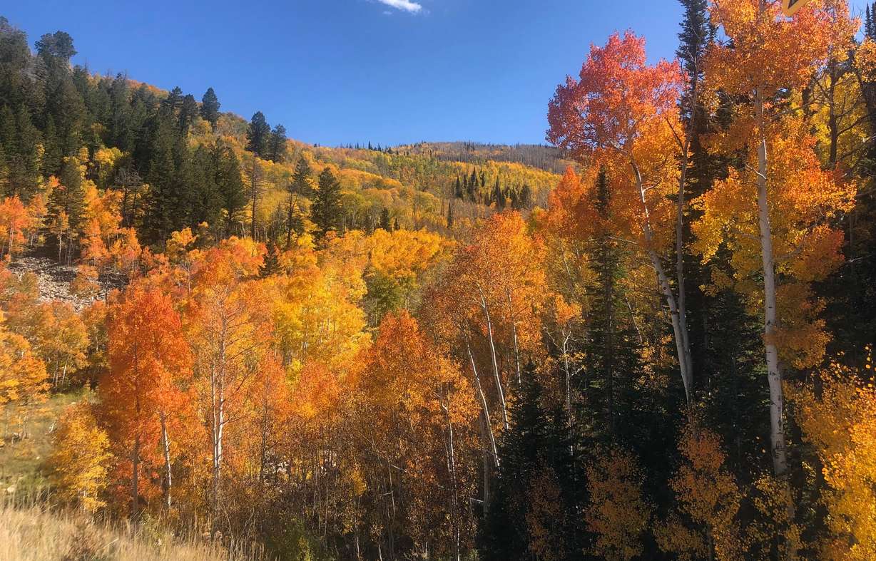 The fall colors near Wolf Creek Pass in October submitted to KSL.com on Monday.