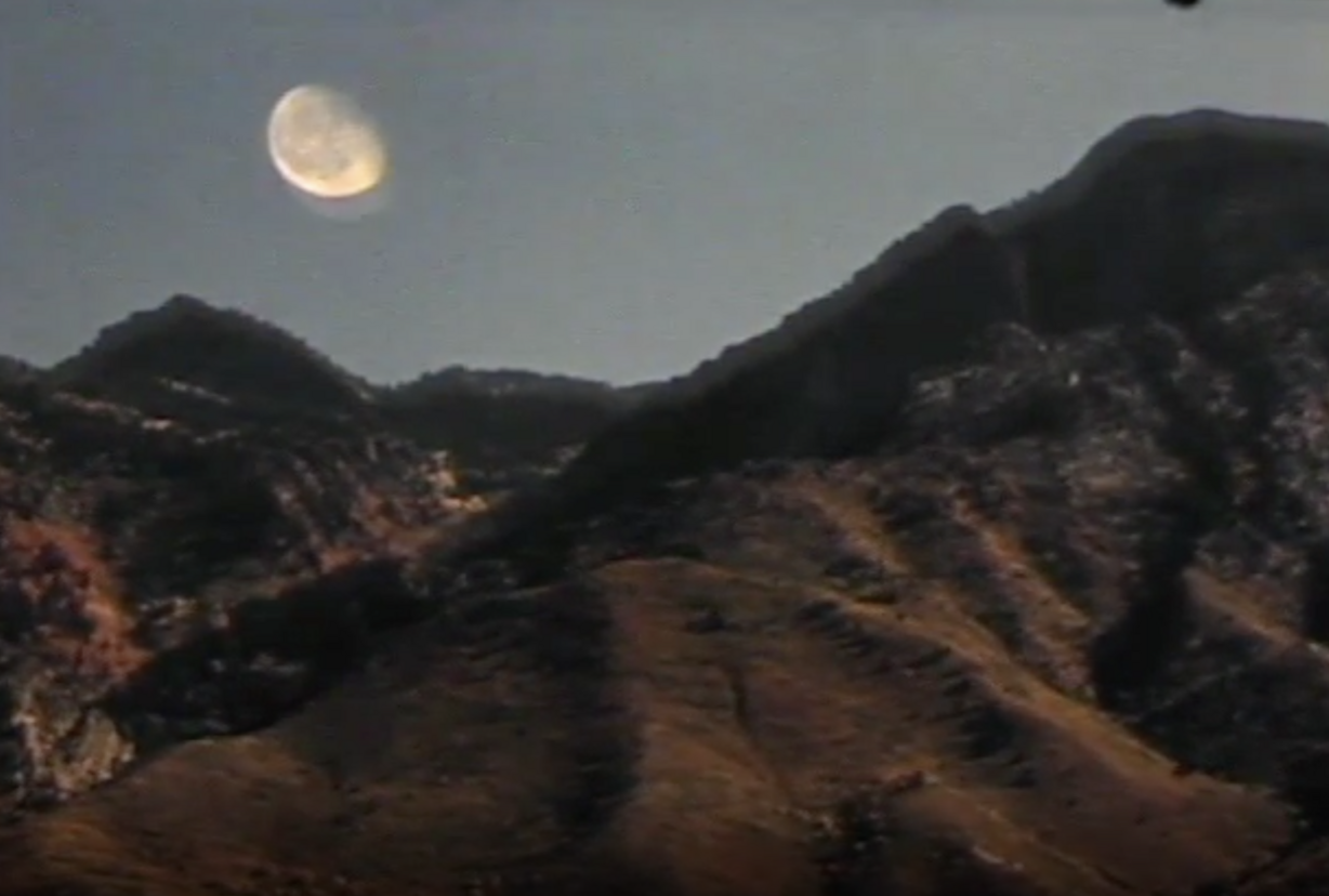 A screenshot from a 1958 silent home movie film by Orland Lavell Tapp showing fall colors and a cattle drive within Utah.